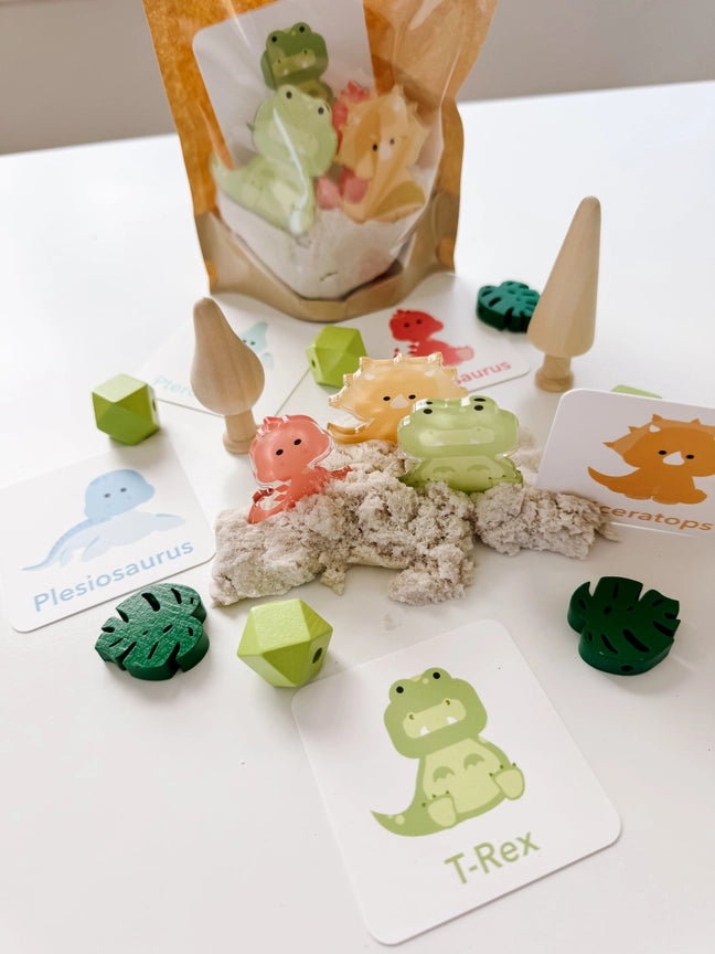Dino Sensory Kit