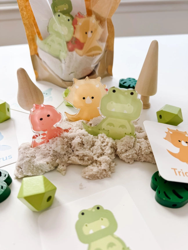 Dino Sensory Kit