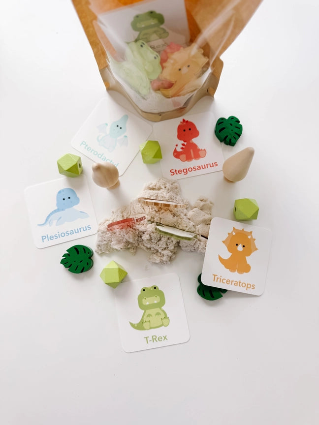 Dino Sensory Kit