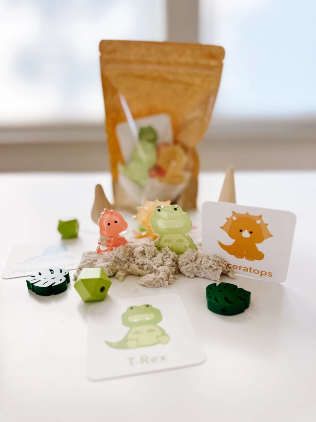 Dino Sensory Kit