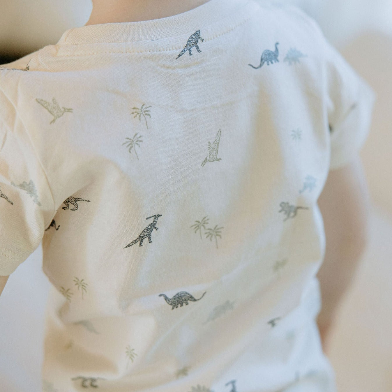 Thyme Dino-Mite Collection Kids Everest Tee